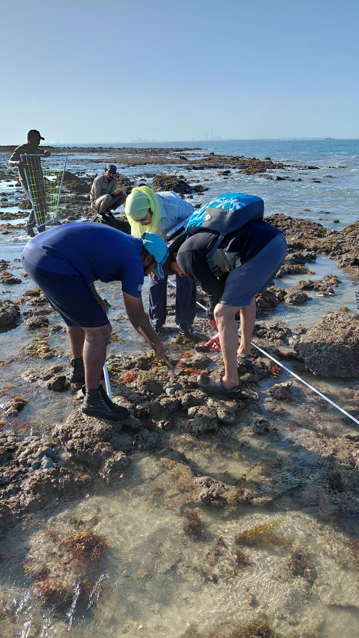 GFRF - Coral Health & Resilience at MNP 36